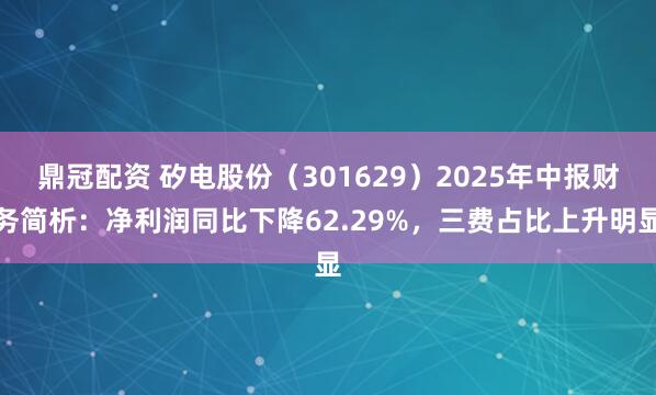鼎冠配资 矽电股份（301629）2025年中报财务简析：净利润同比下降62.29%，三费占比上升明显