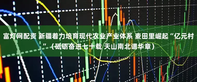 富灯网配资 新疆着力培育现代农业产业体系 麦田里崛起“亿元村”（砥砺奋进七十载 天山南北谱华章）